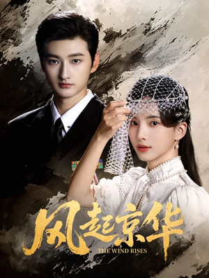 风起京华（60集）精彩短剧看全集