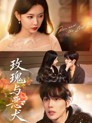 玫瑰与恶犬（80集）短剧演员排行榜