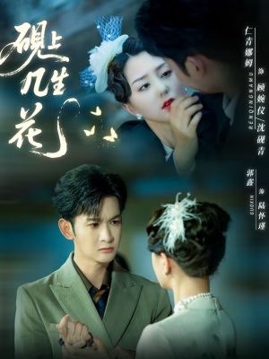 砚上几生花（62集）免费看短剧全集