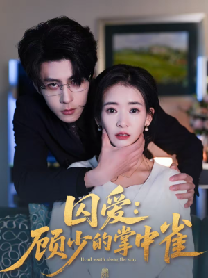 囚爱：顾少的掌中雀（70集）全集在线看