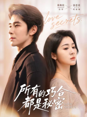 所有的巧合都是秘密（80集）高分佳作免费看