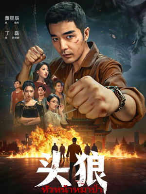 头狼（77集）观看软件