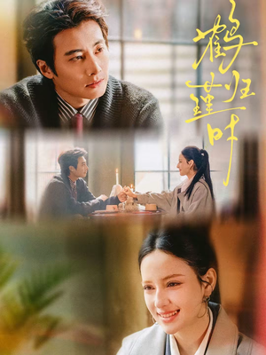 鹤归瑾时（81集）短剧热播中