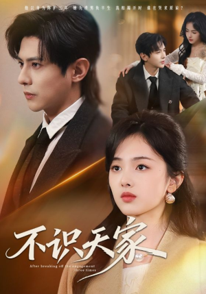 不识天家（69集）热门短剧追不停