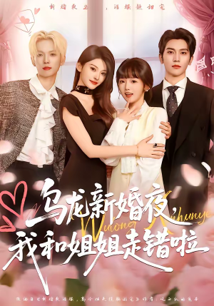 乌龙新婚夜，我和姐姐走错啦（59集）最热门短剧来了