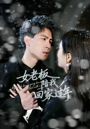 女老板陪我回家过年（40集）无需会员轻松看