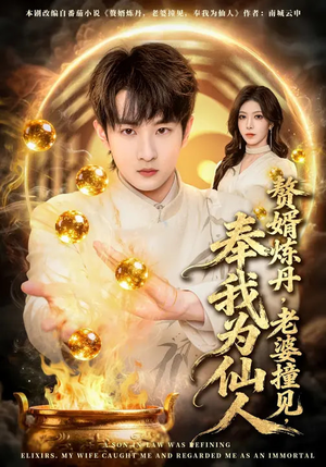 赘婿炼丹，老婆撞见，奉我为仙人（59集）好看上头的短剧