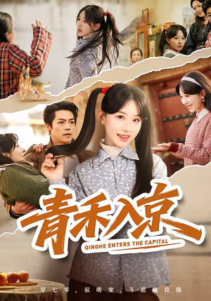 青禾入京（60集）每天分享短剧
