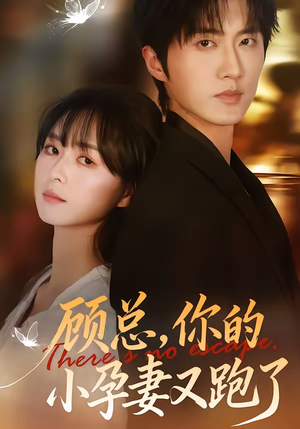 顾总，你的小孕妻又跑了（47集）火爆短剧推荐