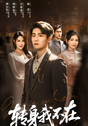 转身我不在（60集）热门短剧大全