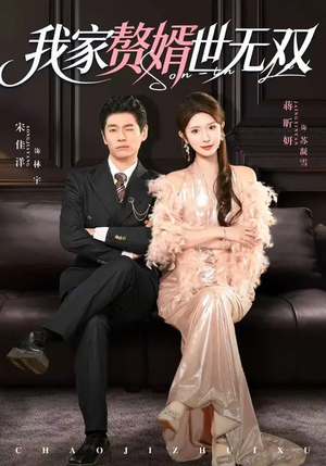 我家赘婿世无双（73集）百度在线观看