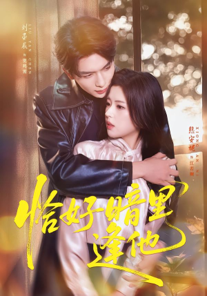 恰好暗里逢他（66集）全网短剧抢先看