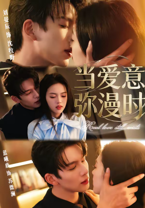 当爱意弥漫时（80集）短剧介绍