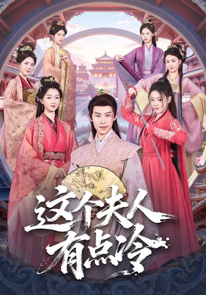 这个夫人有点冷（80集）更新时间