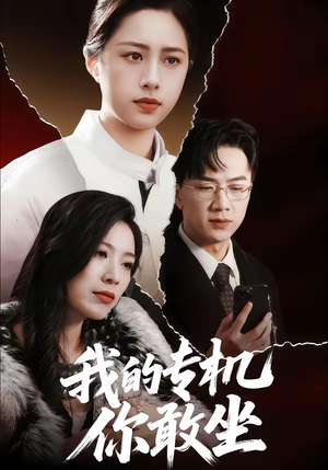 我的专机你敢坐（62集）好看的短剧分享