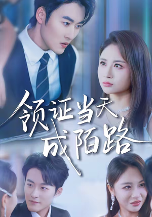 领证当天成陌路（39集）短剧排行榜