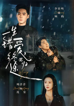 一生错爱，终无归途（74集）短剧精彩片段