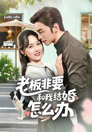 老板非要和我结婚怎么办（50集）火热短剧抢先看