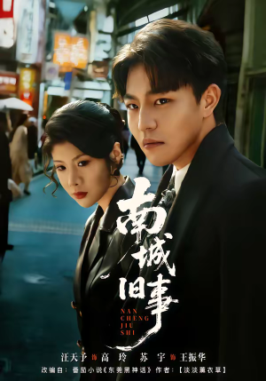 南城旧事(80集) 南城旧事(80集)火爆热门短剧