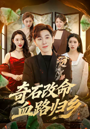 奇石改命血路归乡（81集）热播短剧推荐