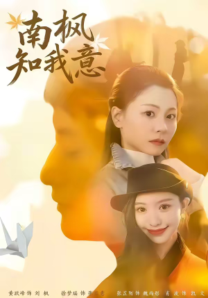 南枫知我意（41集）短剧在线观看