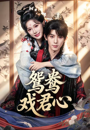 鸳鸯戏君心（60集）热门了短剧
