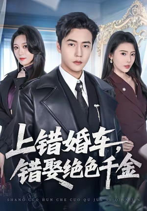上错婚车，错娶绝色千金（80集）温柔追捕短剧