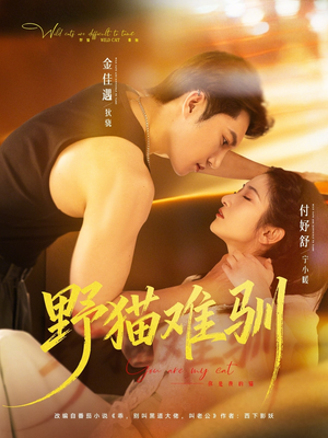 野猫难驯（73集）80到100集