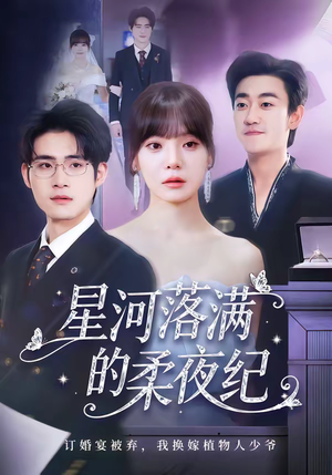 星河落满的柔夜纪（88集）短剧精彩不断