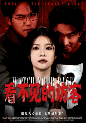 看不见的访客（62集）最火短剧推荐