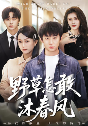 野草怎敢沐春风（61集）在线观看完整版