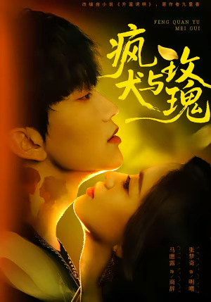 疯犬与玫瑰（80集）精彩短剧看不停