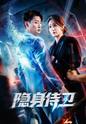 隐身侍卫（80集）精彩短剧下载