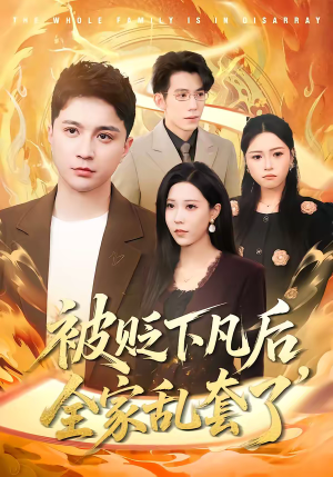 被贬下凡后全家乱套了（88集）全集一网打尽