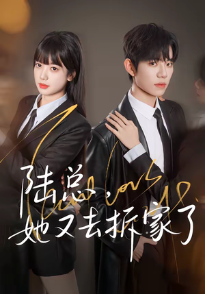 陆总，她又去拆家了（80集）爱上了这部剧了