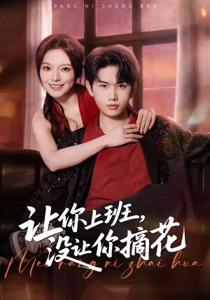 让你上班，没让你摘花（70集）短剧解说热门