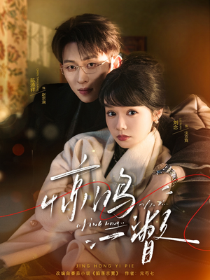 惊鸿一瞥（72集）短剧追到爽