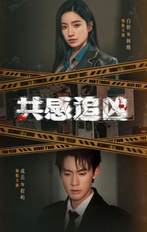 共感追凶（60集）口碑之选免费看