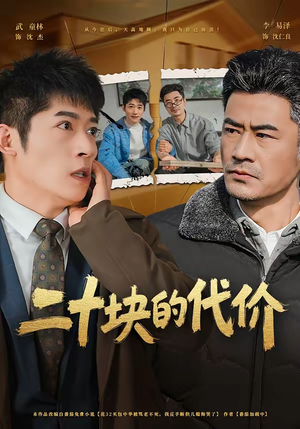 二十块的代价（64集）民国短剧推荐