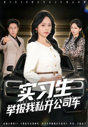 实习生举报我私开公司车（69集）在线免费观影