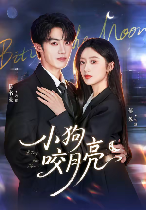 小狗咬月亮(66集) 小狗咬月亮(66集)免费在线看