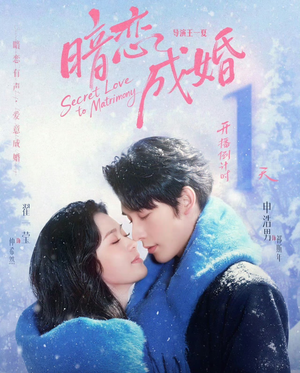 暗恋成婚（60集）热门短剧推广