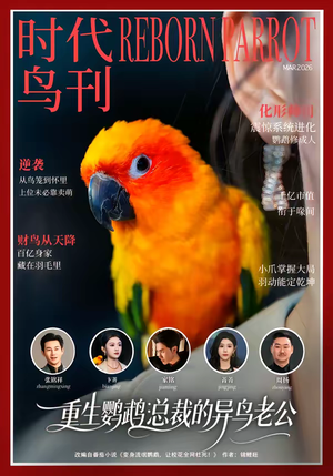 重生鹦鹉：总裁的异鸟老公（80集）热门短剧免费看