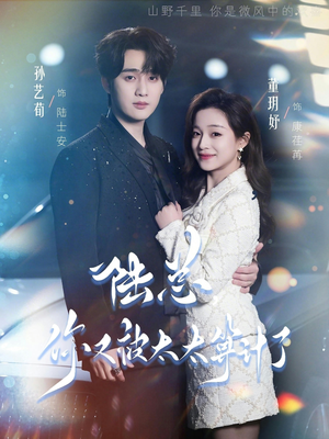 陆总，你又被太太算计了（70集）最新上映的短剧