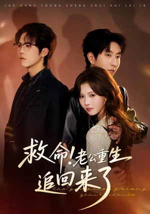 救命！老公重生追回来了（40集）免费短剧看全集
