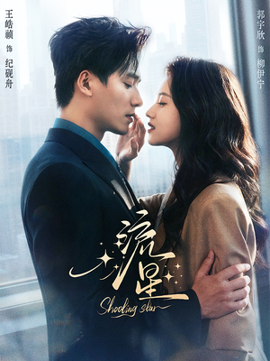 流星(77集) 流星(77集)追短剧关注我