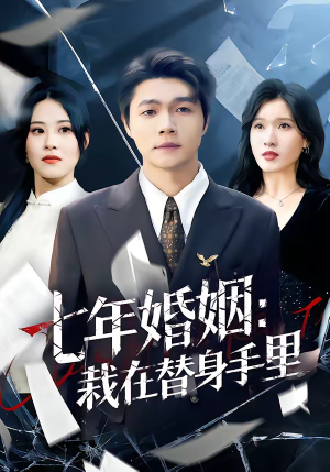 七年婚姻：栽在替身手里（80集）在线看到大结局