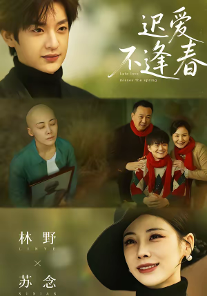 迟爱不逢春（62集）80到100集
