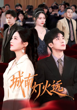 城南灯火远（72集）免费看全集