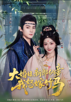 大婚日，新郎纳妾我怒嫁竹马（80集）热播短剧重燃